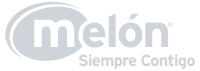 Melon logo